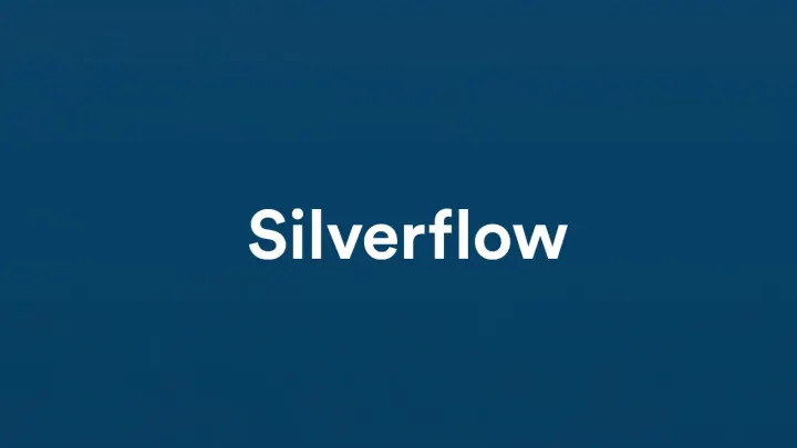 Silverflow, 40 milyon dolarlık yatırım aldı.