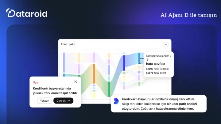 "AI Agent D focuses on accelerating corporate digital analytics for Dataroid."