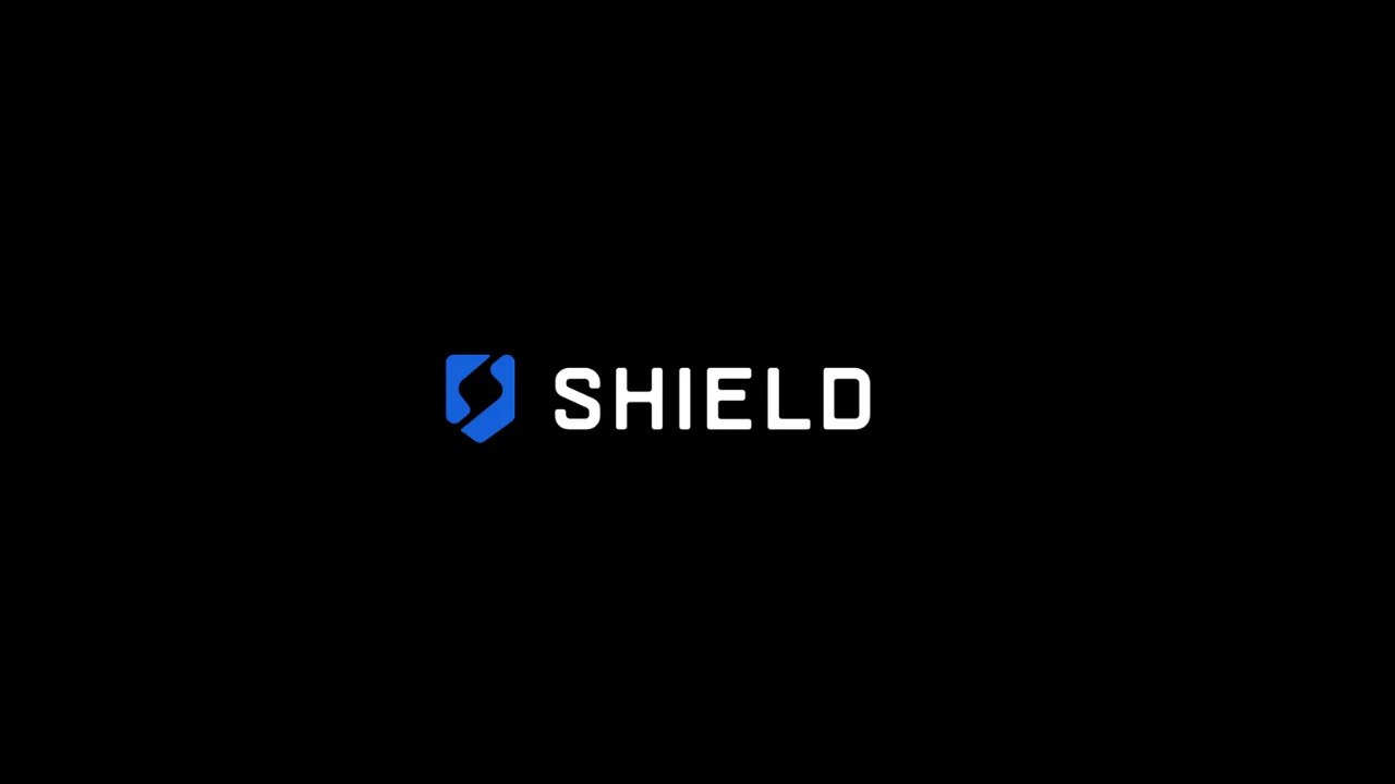 Shield, IT hizmetleri sektöründe 100 milyon dolar yatırım aldı.
