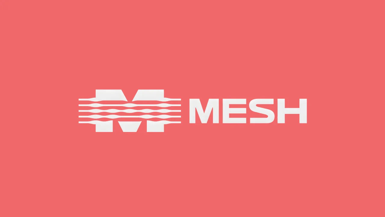 Mesh, 50 milyon dolarlık yatırım aldı.
