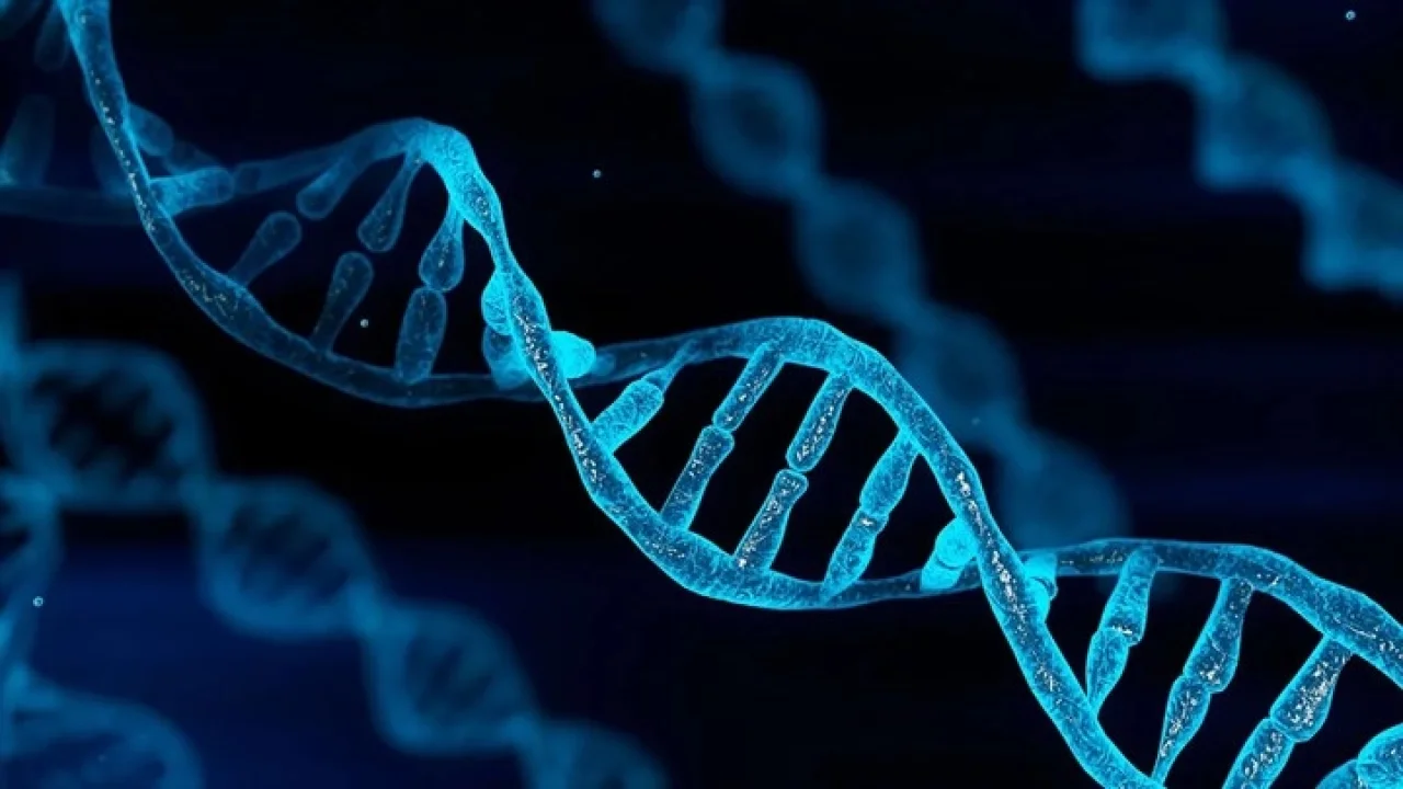 İngiltere'de Bir İlk: Sentetik İnsan DNA'sı Üretimi Başladı