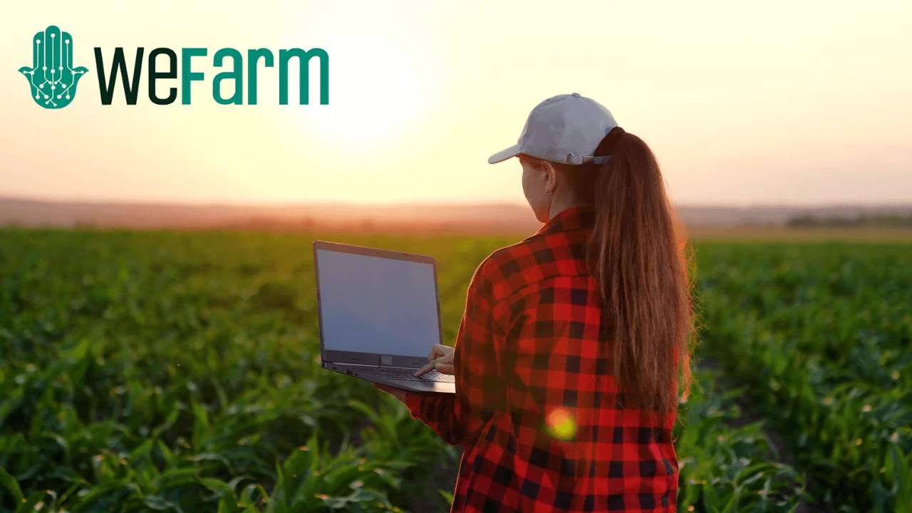 Tarım arazilerinden gelir elde etmeyi kolaylaştıran platform: WeFarm - Haber Başlığı